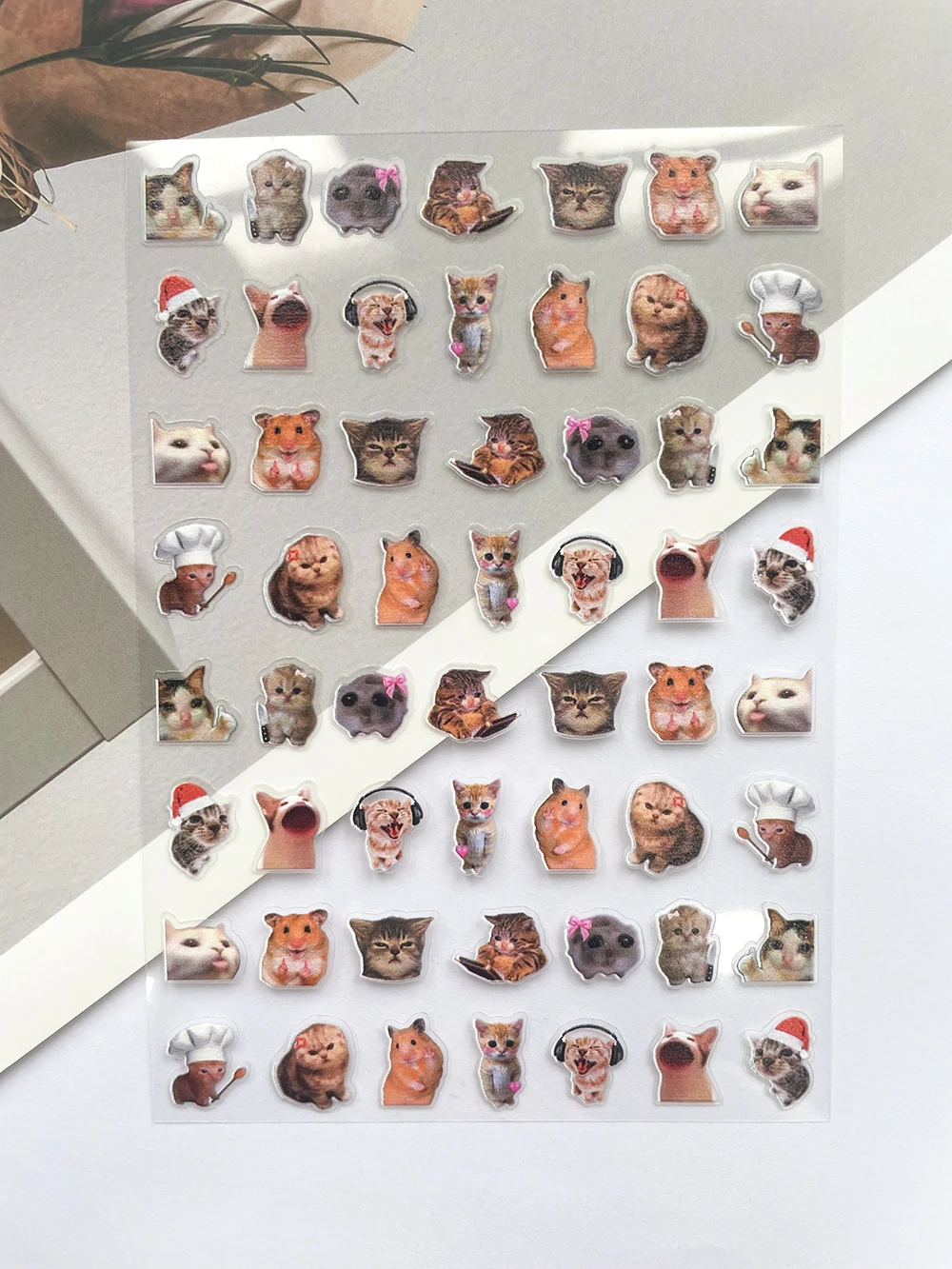 Mini Pvc Funny Cat Poster Good - Nail Tech Accessories review and price